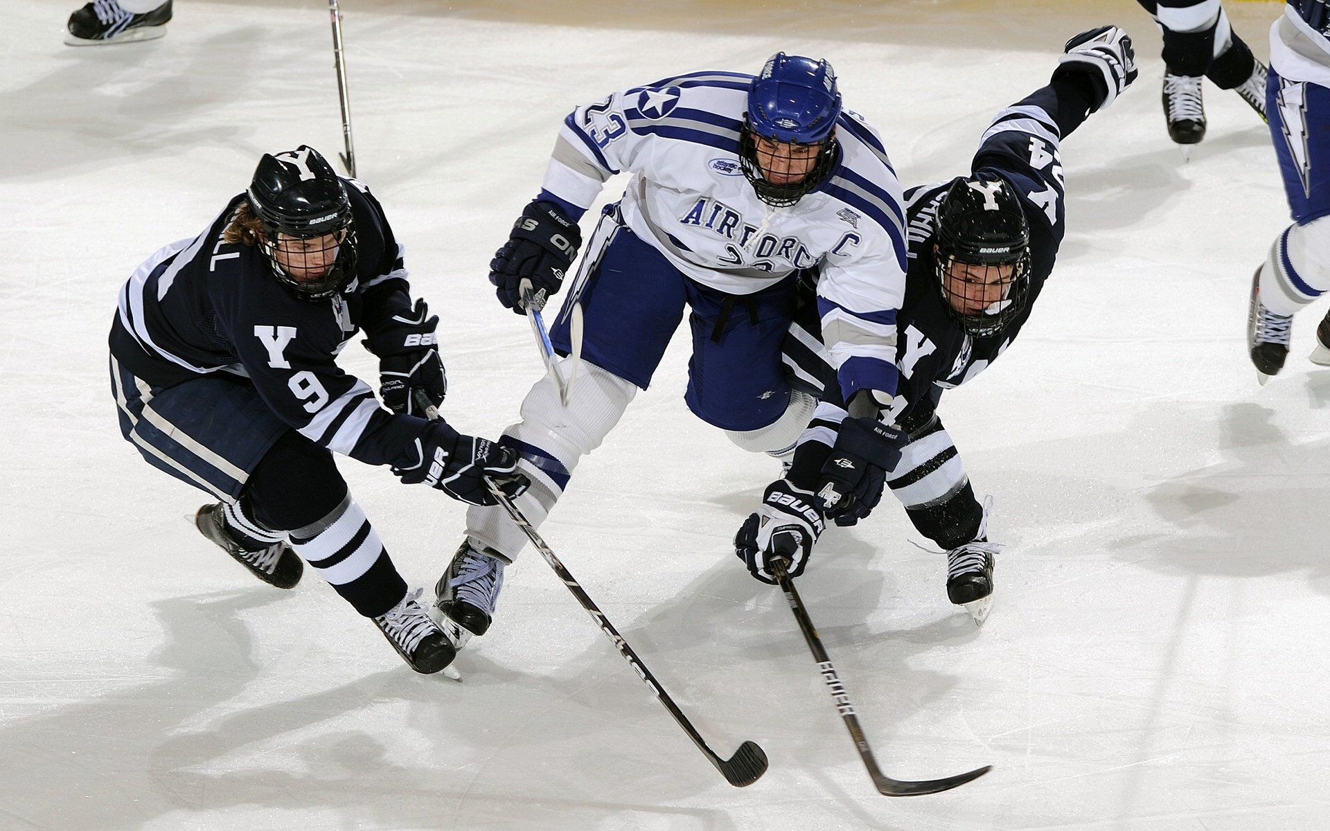体育新闻中心权威专题上线,体育新闻官网